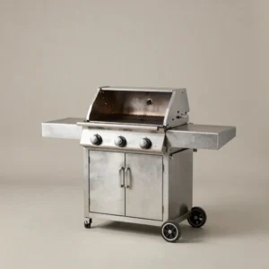 Kook Patio Gas Grill